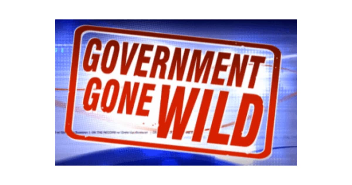 gov-gone-wild Johns Creek Post