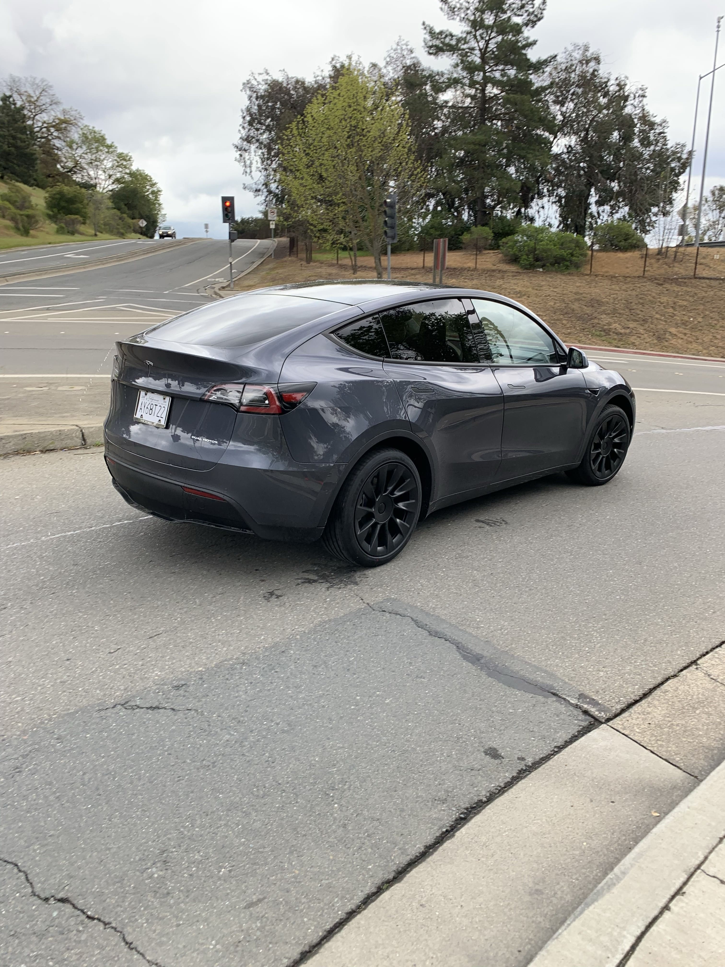 Tesla Model Y in the Wild