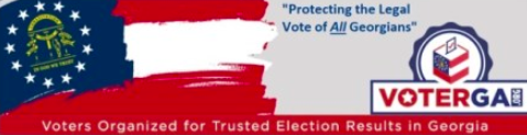 VoterGA, Other Groups Begin Push For Multi-County Audit Of 2020 Election, Will Release Information Election Fraud Evidence Destroyed